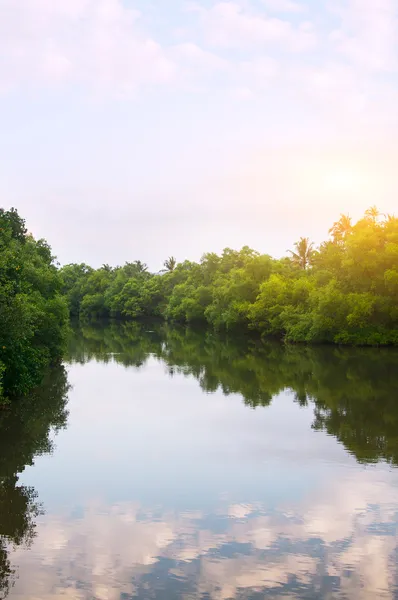 Vista del río Goa — Foto de stock gratis