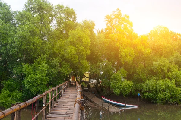 Ponte de madeira do outro lado do rio — Fotos gratuitas