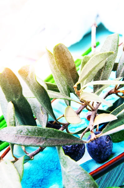 Rama de oliva fresca — Foto de Stock