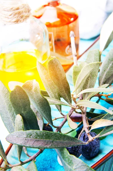 Olive branch en olie — Stockfoto