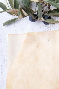 zeytin dalı ve kağıt, makbuz