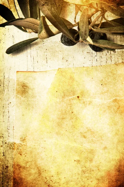 Sztuka gałązką oliwną i odbioru papieru — Zdjęcie stockowe