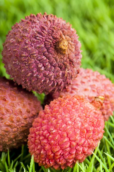 Fresh ripe lychee fruit — Stock Photo, Image