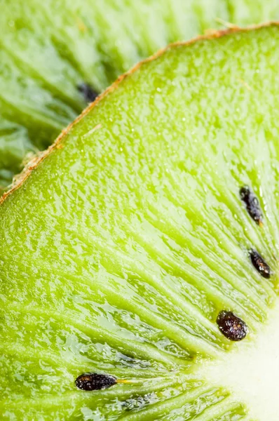 Kiwi fruit slices — Stock Photo, Image