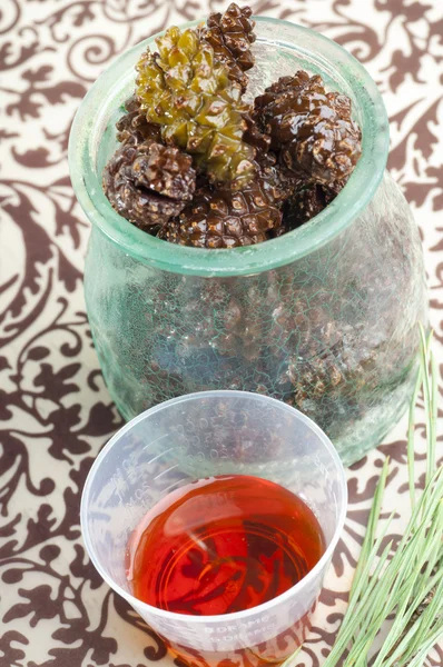 Pine cone cough syrup — Stock Photo, Image