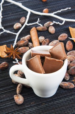 Çikolatalı dilimler ve baharatlar çevresinde Kupası