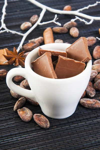 Cup met chocolade segmenten en kruiden rond — Stockfoto