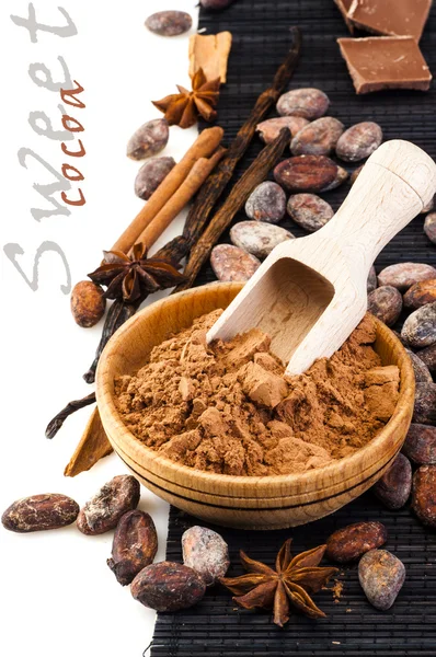 Sweet Cocoa powder and spices — Stock Photo, Image
