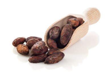 tahta kaşık kakao fasulye