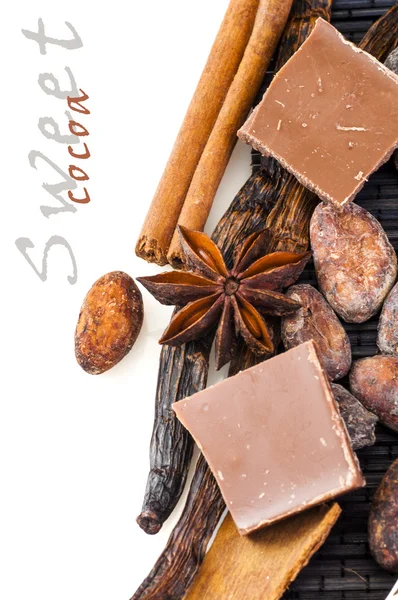 Sweet cocoa beans and chocolate — Stock Photo, Image