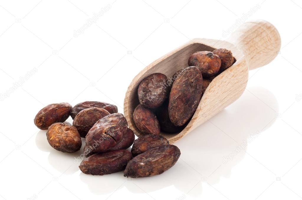 Cocoa beans on the wooden scoop