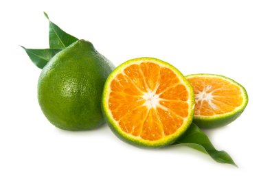 Yeşil Hint mandalina