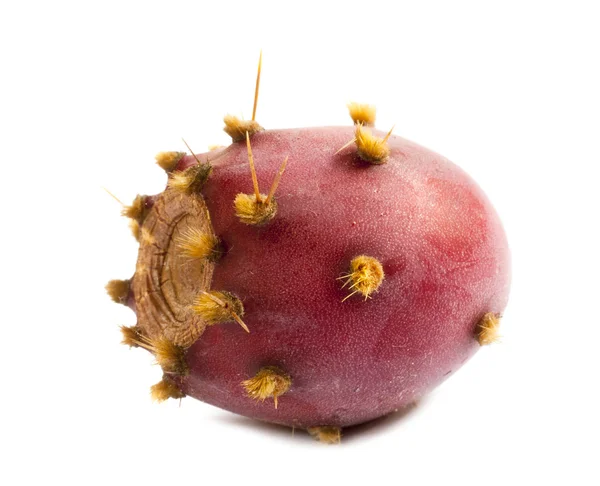 Cactus pear — Stock Photo, Image