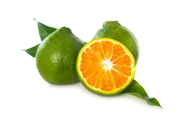 Yeşil Hint tatlı mandalina — Stok fotoğraf