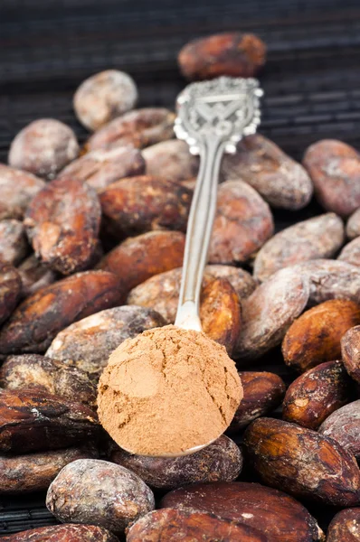 Kakaový prášek a fazole — Stock fotografie zdarma