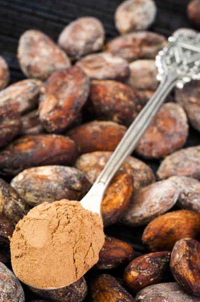 Coklat bubuk dan biji kakao — Stok Foto