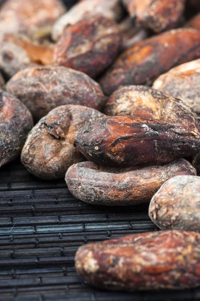 Primer plano de los granos de cacao — Foto de Stock