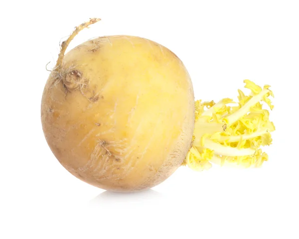 Yellow turnip — Stock Photo, Image