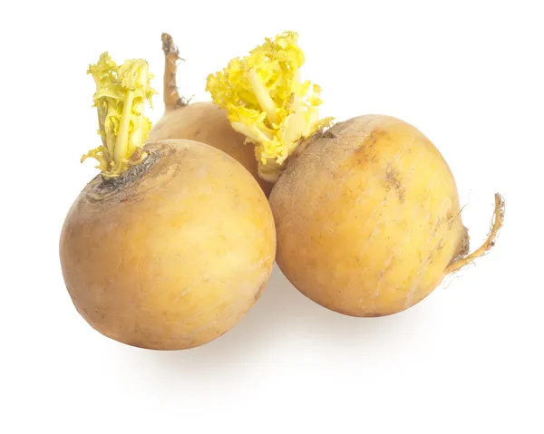 Three yellow turnips — Stock Photo, Image