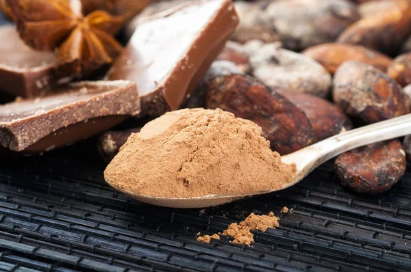 Cocoa powder and chocolate — Stock Photo, Image