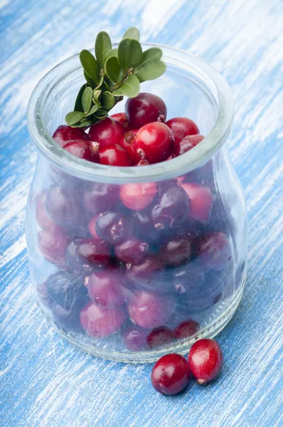 Cranberries with leaves in jar — Free Stock Photo