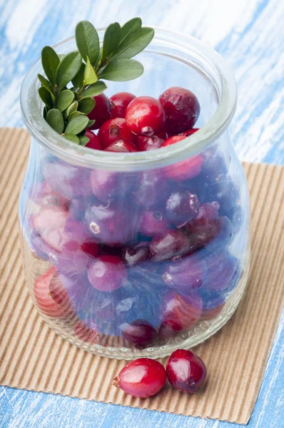 Masak cranberry dalam stoples — Stok Foto