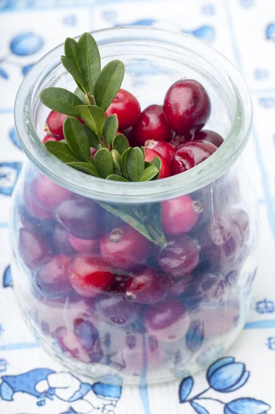Cranberry segar dalam toples — Stok Foto