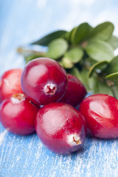 Close-up of ripe cranberries — Stock Photo, Image