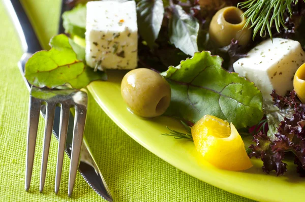 Vegetarischer frischer Salat — Stockfoto