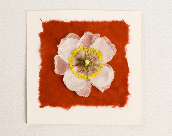 Cartão feito à mão com flor — Fotografia de Stock
