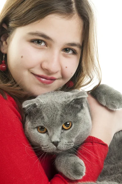 女孩拥抱苏格兰折耳猫猫 — 图库照片
