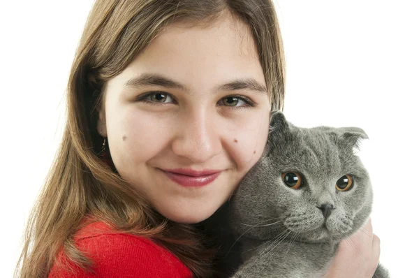 Chica con Scottish Fold gato —  Fotos de Stock