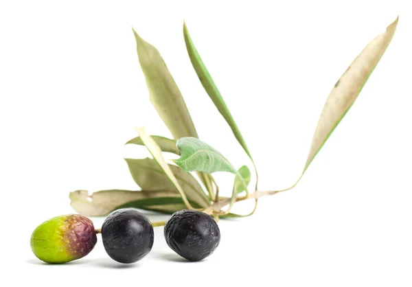 Black olives — Stock Photo, Image