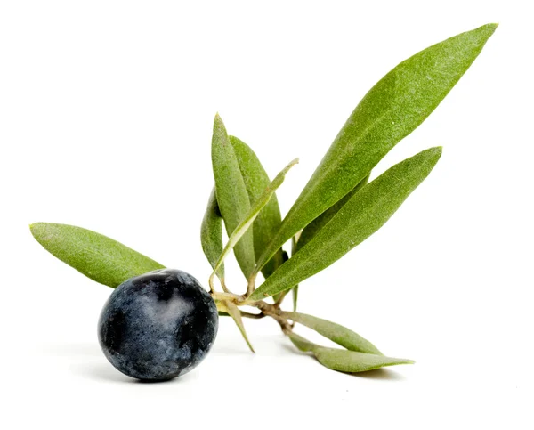 Czarnych oliwek — Zdjęcie stockowe