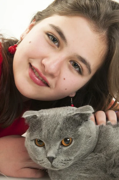 Adolescente chica con escocés Fold gato — Foto de Stock