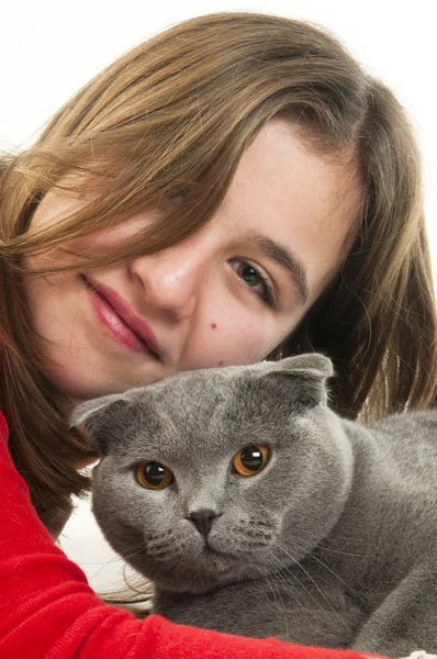 Adolescente chica con escocés Fold gato — Foto de Stock