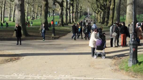 Emberek sétálnak a parkban. — Stock videók