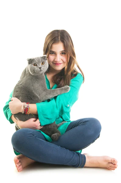 Девочка с кошкой Скоттиш фолд — стоковое фото