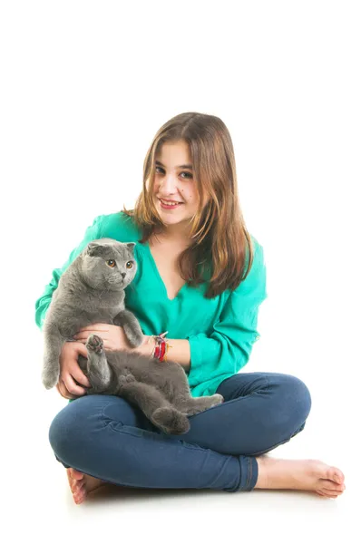 Girl with Scottish Fold — Stock Photo, Image