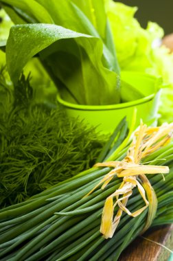 soğan ve yeşillik Galce