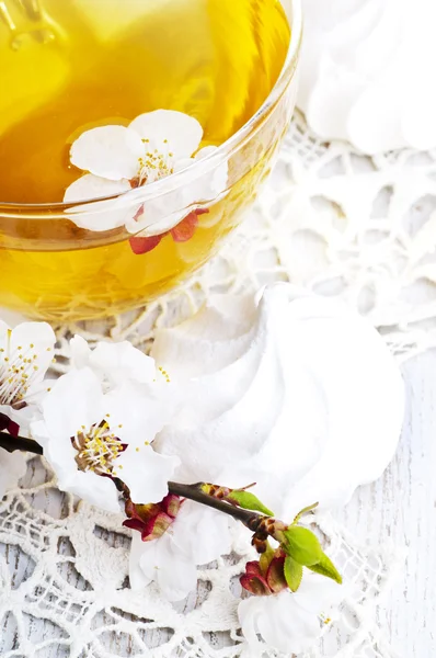 Tea and apricot flowers — Stock Photo, Image