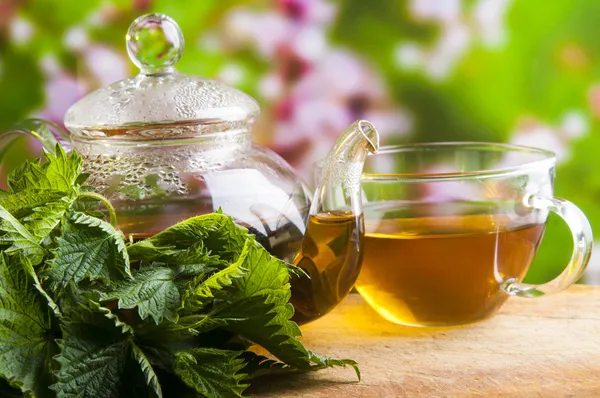 Nettle Tea — Stock Photo, Image