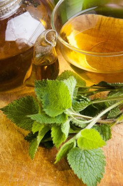 White  Nettle Tea clipart