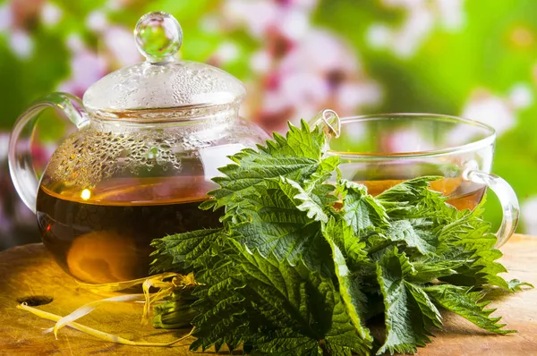 Nettle Tea — Stock Photo, Image