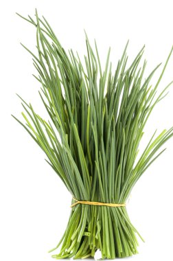 iş adamı avatar mavi elbiseli