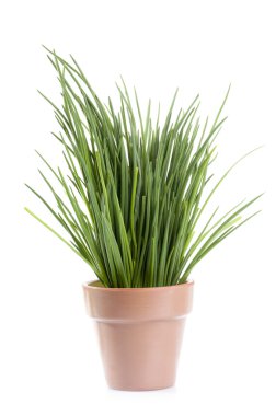 iş adamı avatar mavi elbiseli