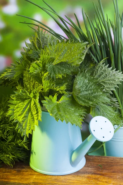 Stinging nettle and welsh onion — Stock Photo, Image