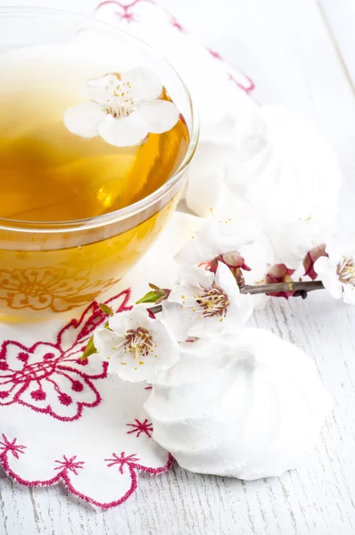 Tea and apricot flowers — Stock Photo, Image