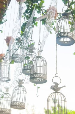 Dekoratif Kuş kafesleri