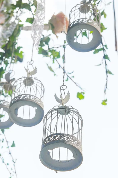 Decoratieve vogel kooien — Stockfoto